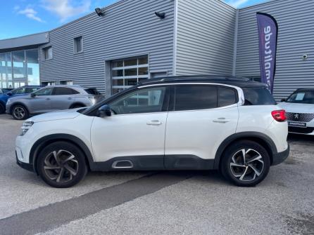 CITROEN C5 Aircross BlueHDi 130ch S&S Shine EAT8 à vendre à Troyes - Image n°8