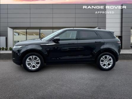 LAND-ROVER Range Rover Evoque 1.5 P300e 309ch S AWD BVA 11cv à vendre à Troyes - Image n°2