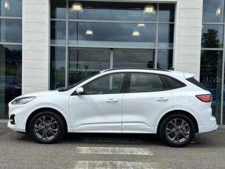FORD Kuga 2.5 Duratec 190ch FHEV E85 ST-Line Business BVA à vendre à Gien - Image n°8