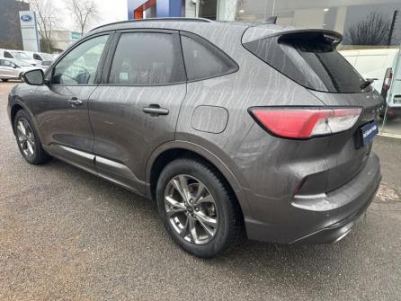 FORD Kuga 2.0 EcoBlue 150ch mHEV ST-Line X à vendre à Auxerre - Image n°7
